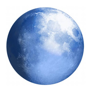 متصفح Pale Moon