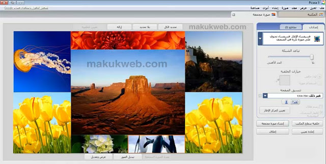 برنامج بيكاسا عربي 2024